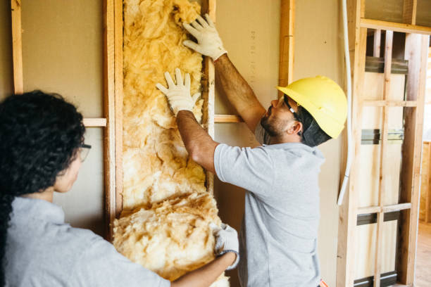 Best Insulation for New Construction  in Springfield, TN